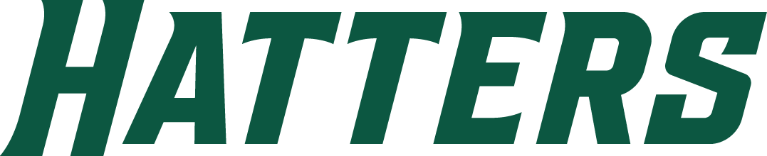 Stetson Hatters 2018-Pres Wordmark Logo v2 DIY iron on transfer (heat transfer)
